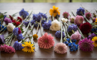 fleurs-artistiques-table-bois-couleurs-vives