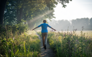 personne-sentier-foret-fleurs-ensoleille